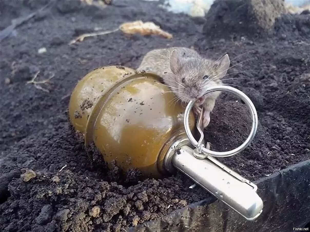 Уже постил кгда-то