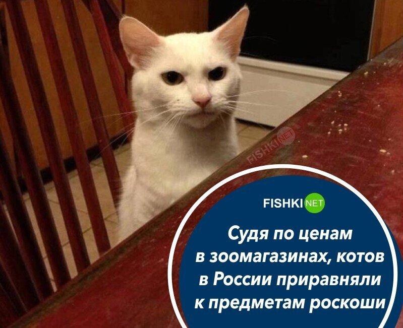 Всё вразнобой