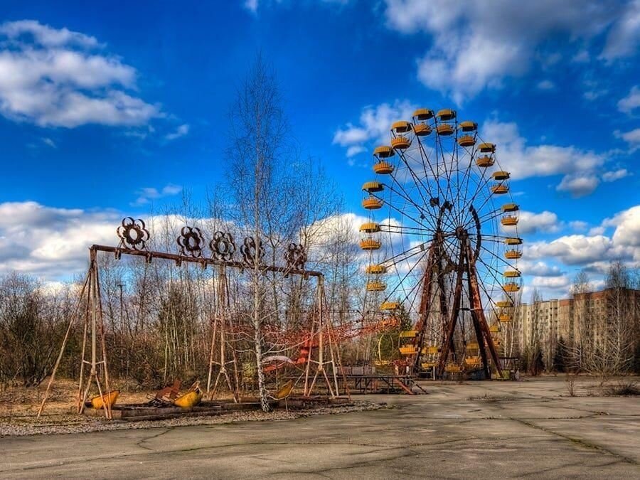 Цветущая экозона на месте боевых действий