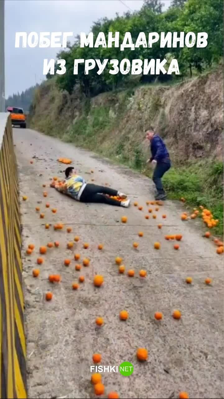 Дерзкий побег мандаринов из грузовика