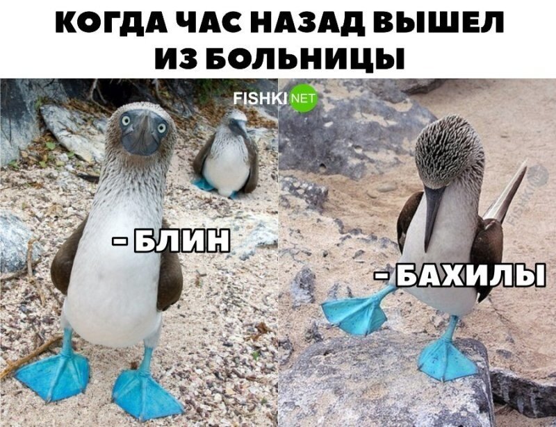 Немного пятничного позитива