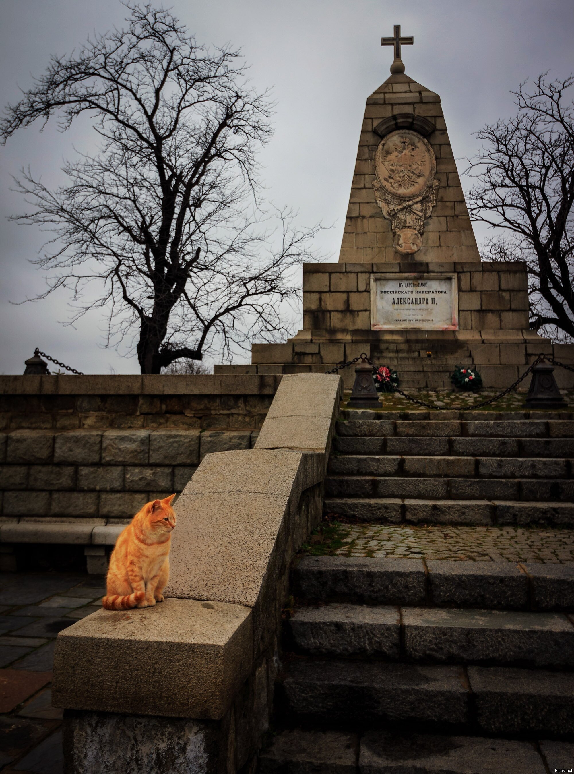 Кот охраняет памятник русскому императору Александру II