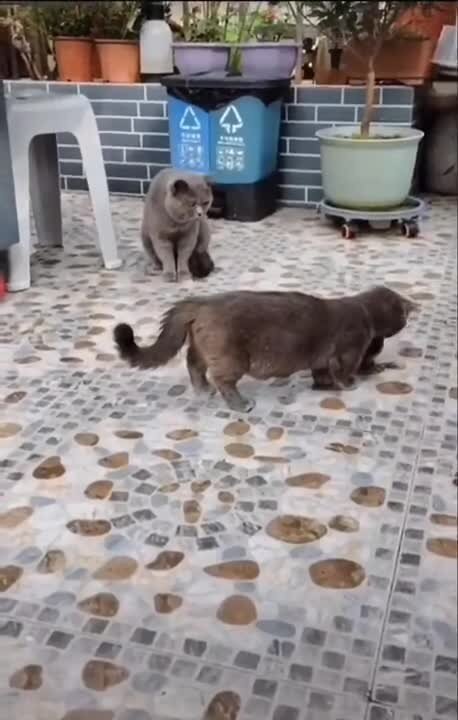 как он взлетел с такими стальными шарами