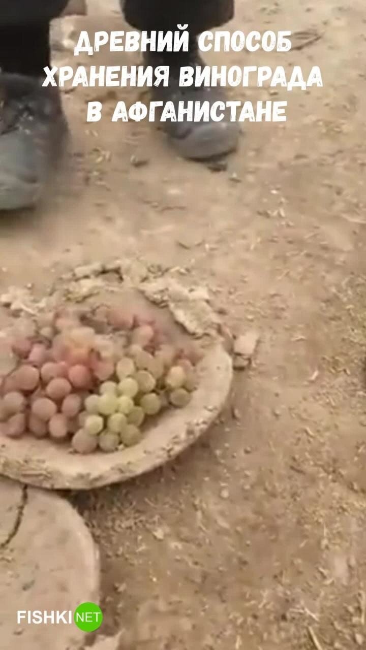 Древний способ хранения винограда, благодаря которому он остаётся свежим полгода