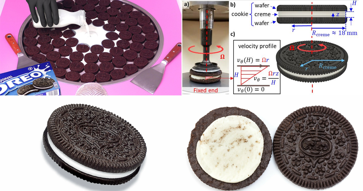 Самый сладкий эксперимент: почему крем на печенье остается с одной стороны