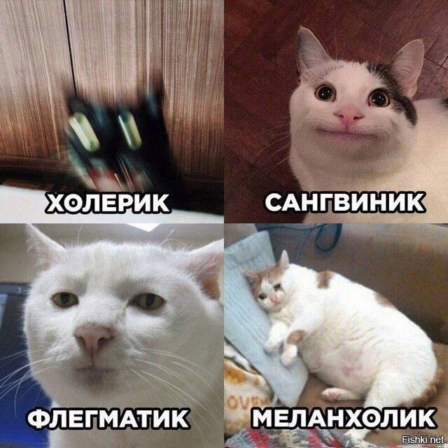 интроверт
