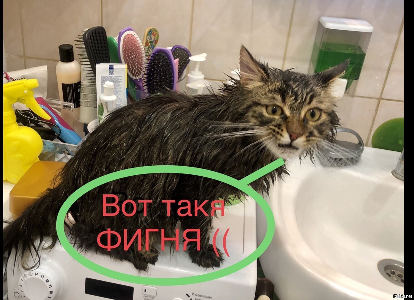 Солянка