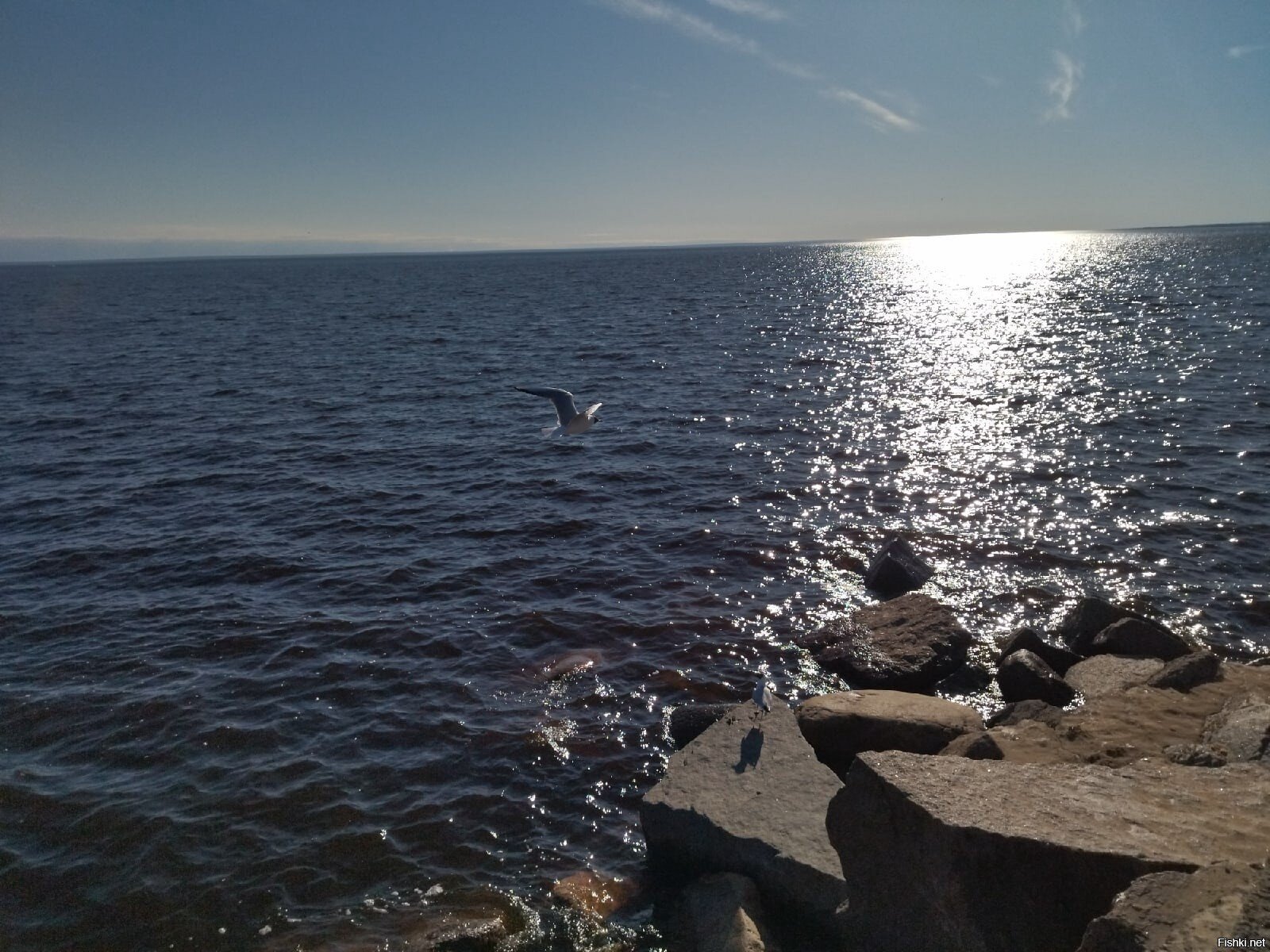 Сегодня отдых на Финском заливе в окрестности Зеленогорска