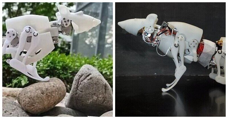 В Китае разработали робота-крысу