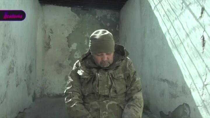 Кроткие откровения «Незнайки»