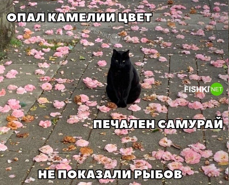 Скрины из соцсетей