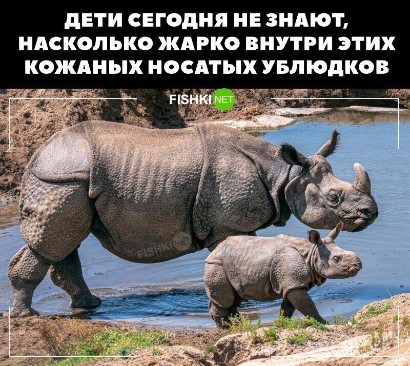 Эй Свинтура 