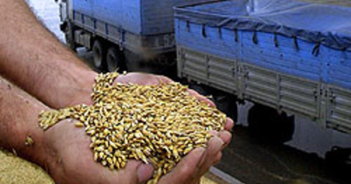Очевидец заснял гигантскую колонну зерновозов в молдавском порту Джурджулешты на Дунае