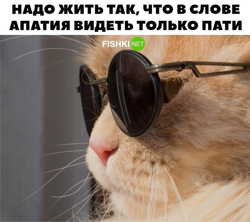 Во всём ищи свои плюсы 