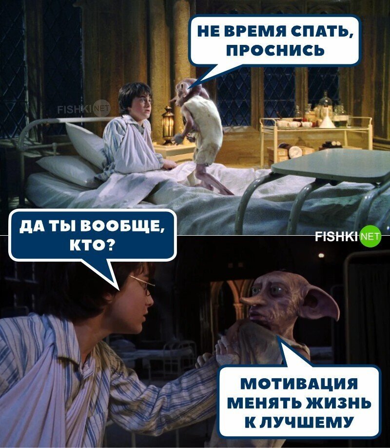 Зря разбудили! 