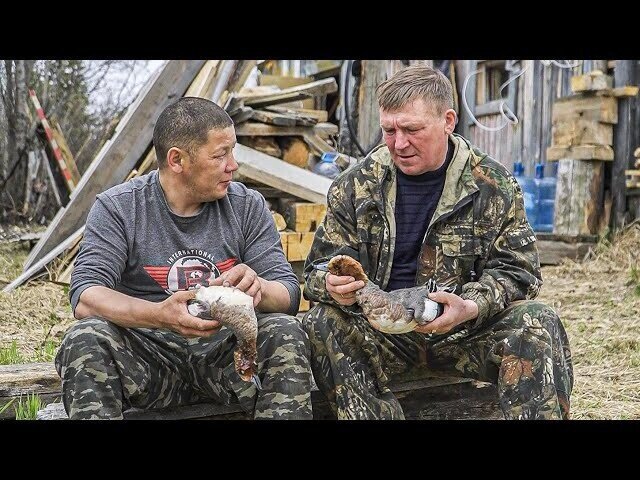 Готовим суп из дикой утки. Уникальное место - селение Бабиковых