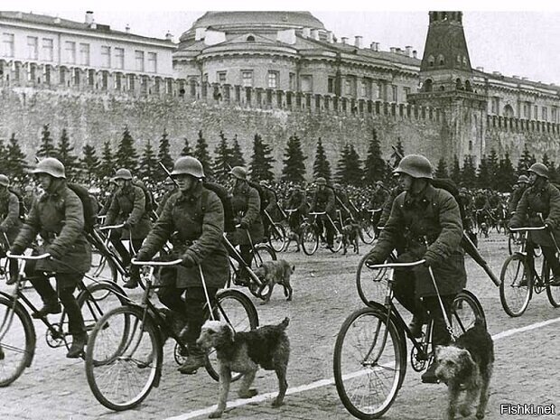 Вчера был Всемирный день велосипеда (World Bicycle Day)