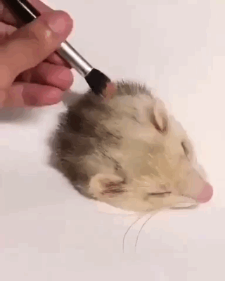 Как настоящий