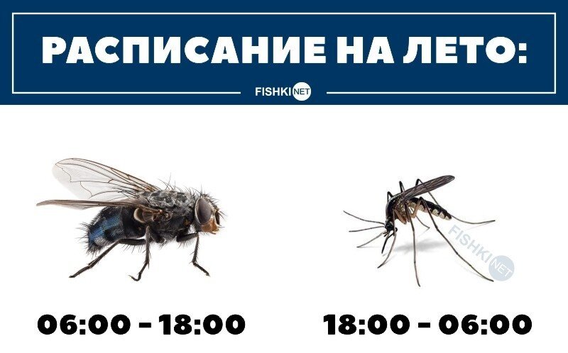 Классика 