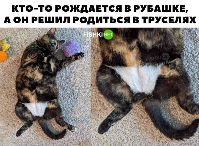 Родился в труселях 