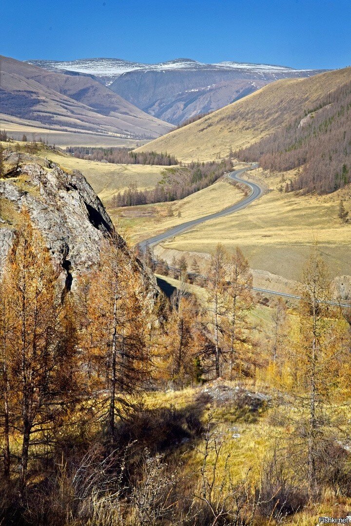 Чуйский тракт алтай фото