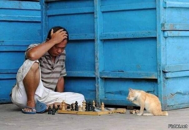 серьезный противник)))