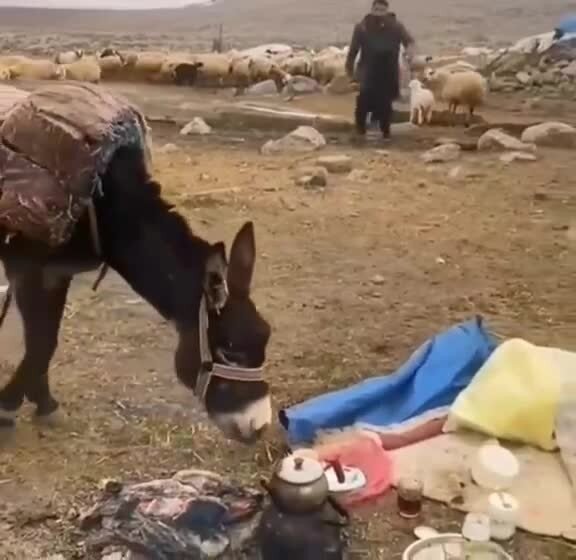 Поел, называется)