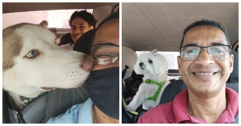 Водитель такси для домашних животных делает селфи с пассажирами
