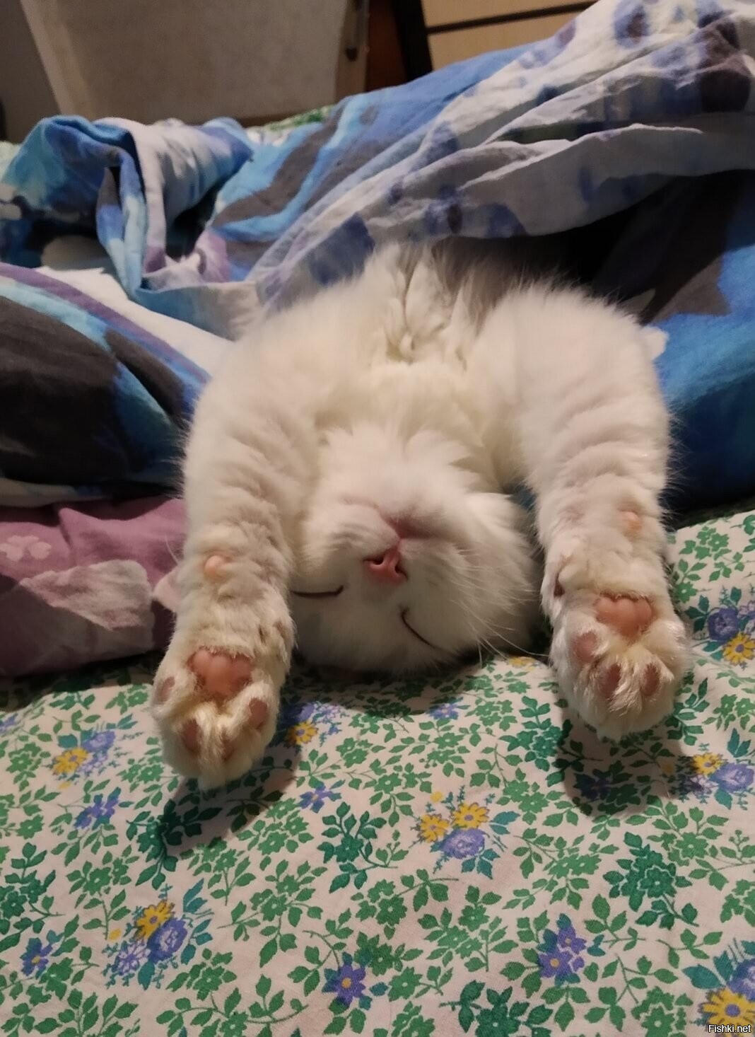 Солянка