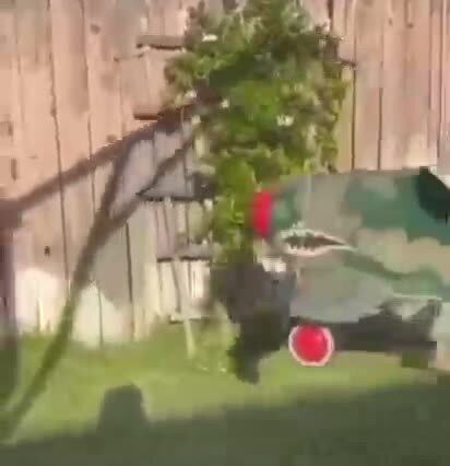 Вдруг откуда не возьмись