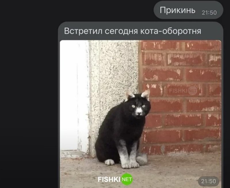 Скрины из соцсетей