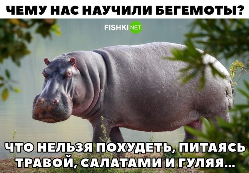 Справедливо 
