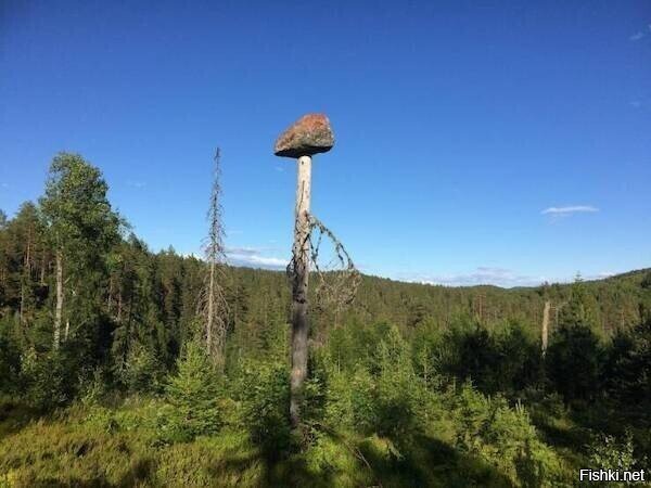 Солянка