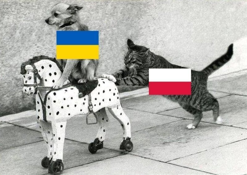 Польша прекратила выплачивать помощь украинским беженцам