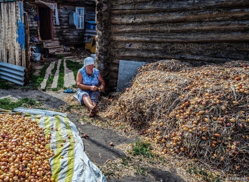 Солянка