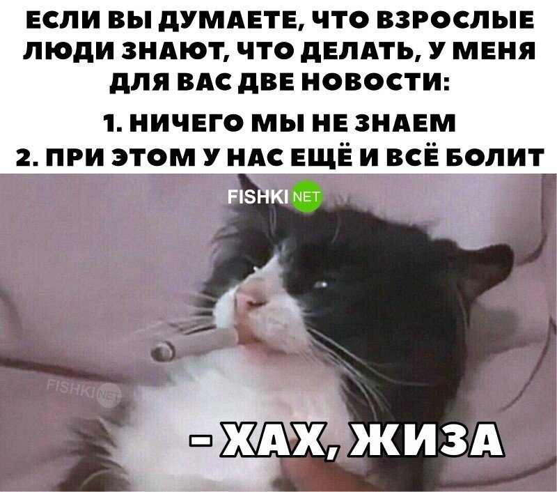 Жизненно 