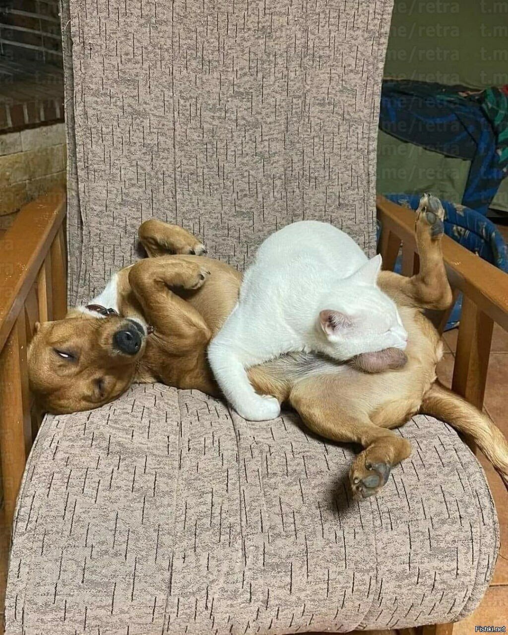 Солянка