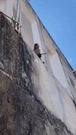 -вы кто такие