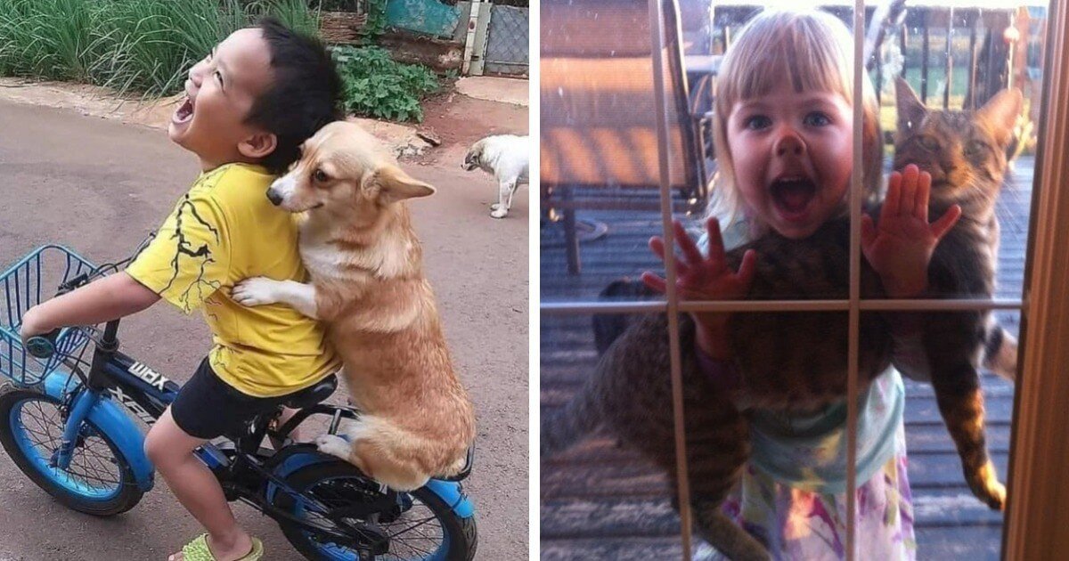 17 неопровержимых фотодоказательств того, что дети и животные просто созданы друг для друга