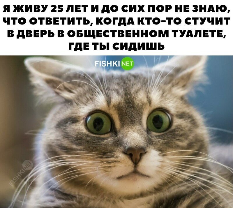 Скрины из соцсетей