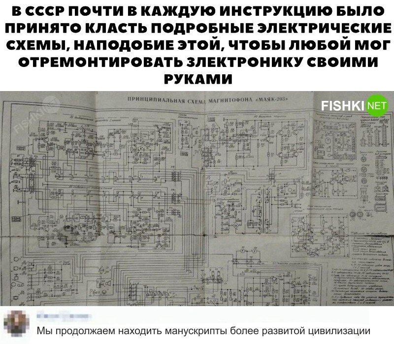 Смешные и познавательные картинки