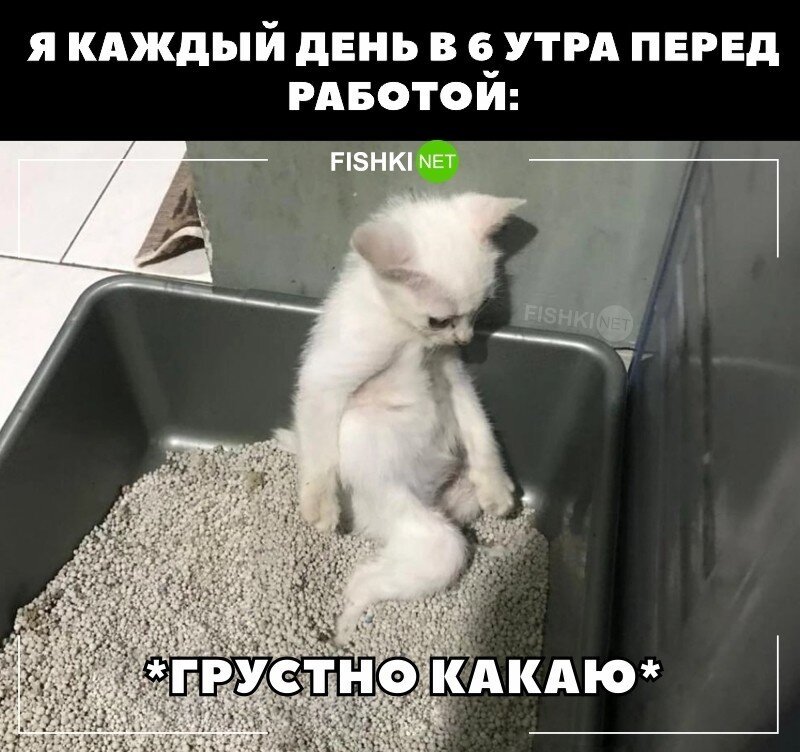 Было такое?