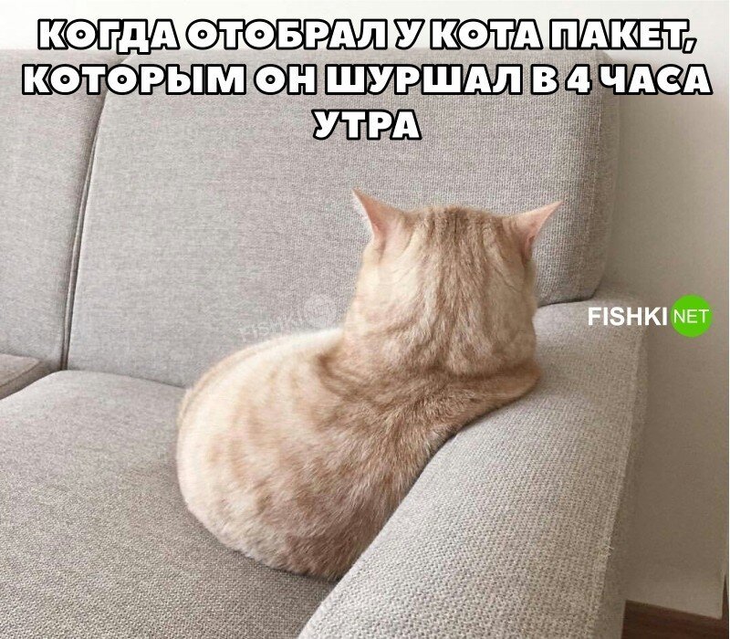 На общую тему