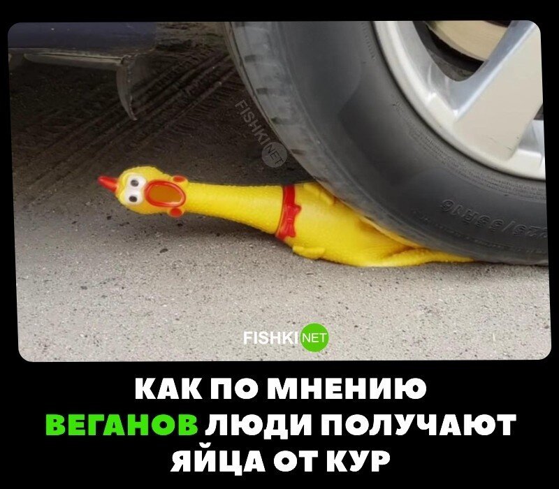 Смешные и познавательные картинки