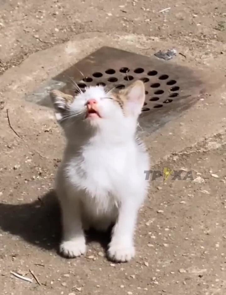 Доброе утро