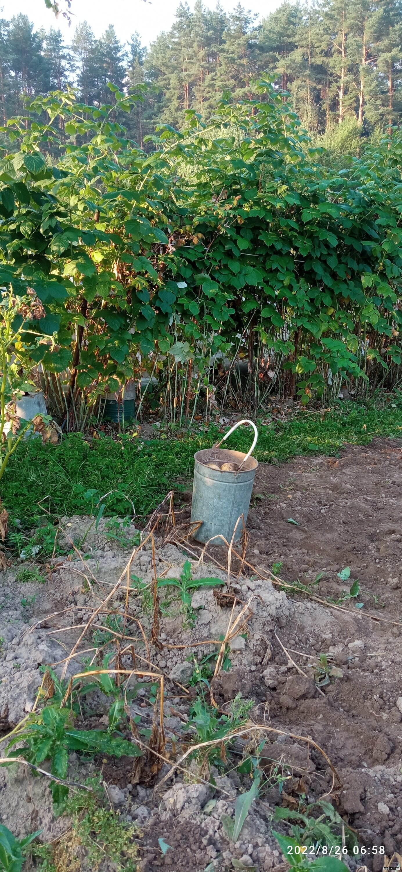 Вот вам эротика