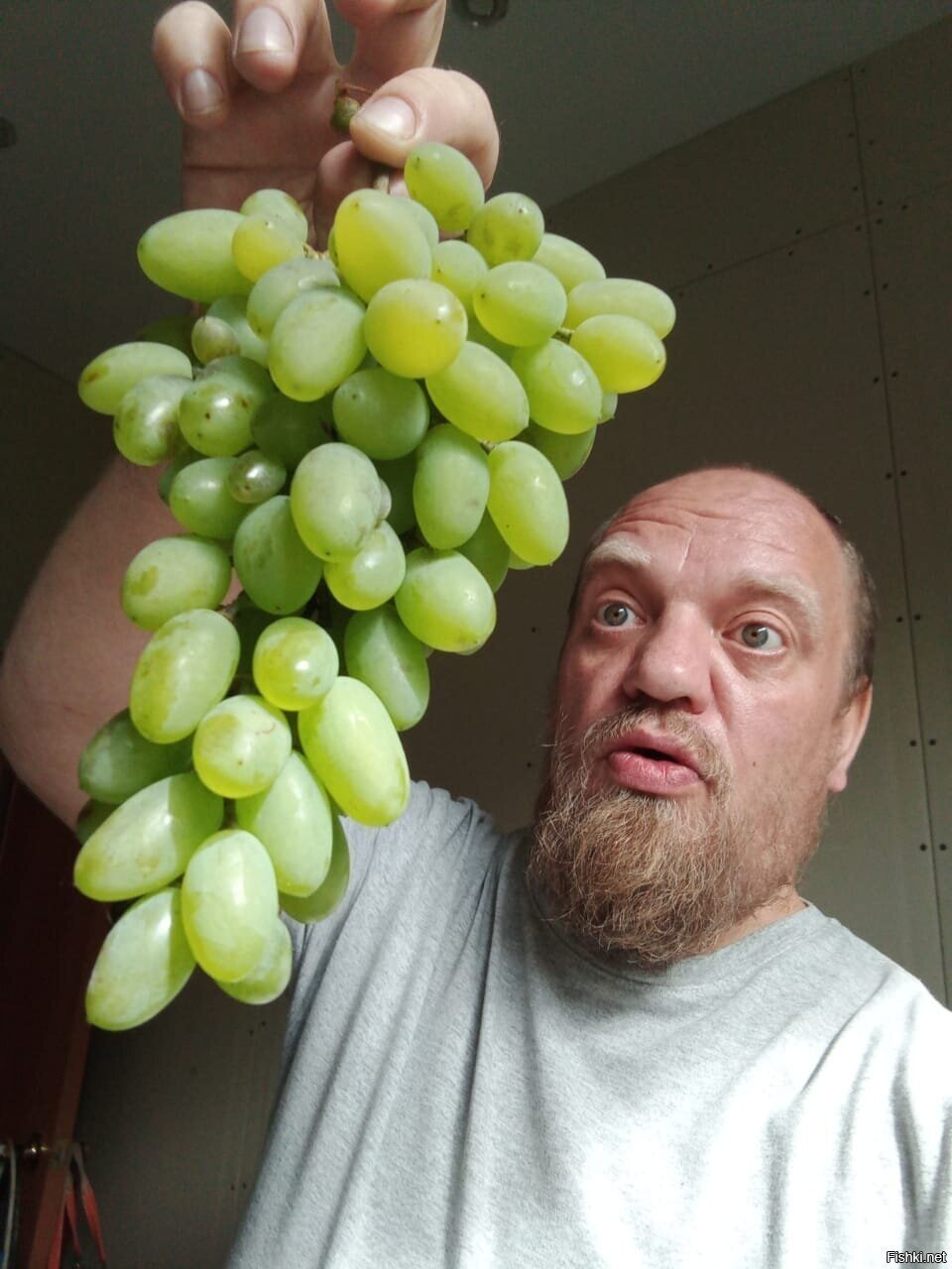Первую гроздь винограда сорвал в этом году