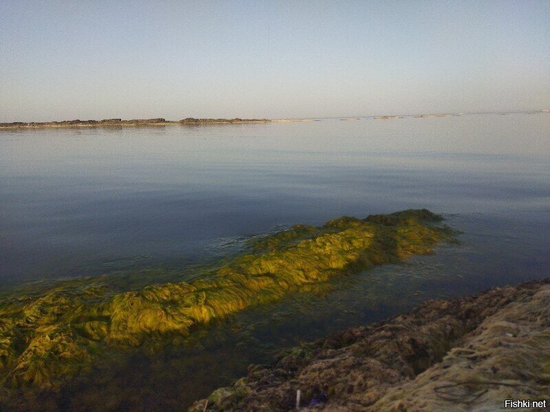 Холодная вода, но ещё терпимая