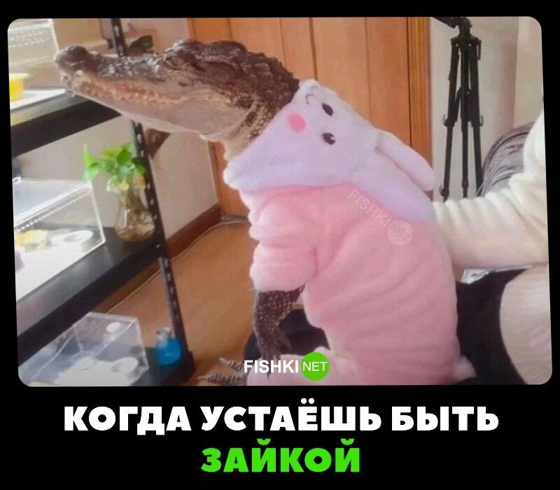 Когда у неё эти дни 